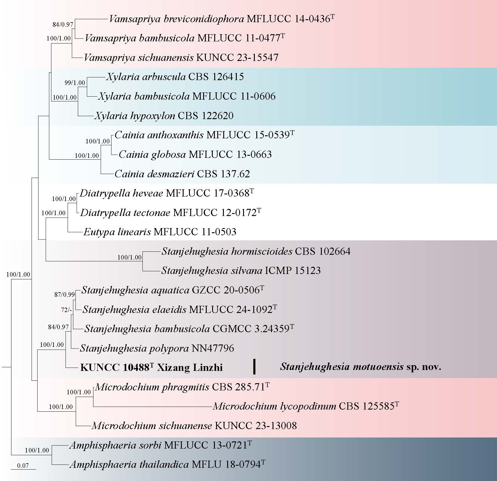 Figure 41
